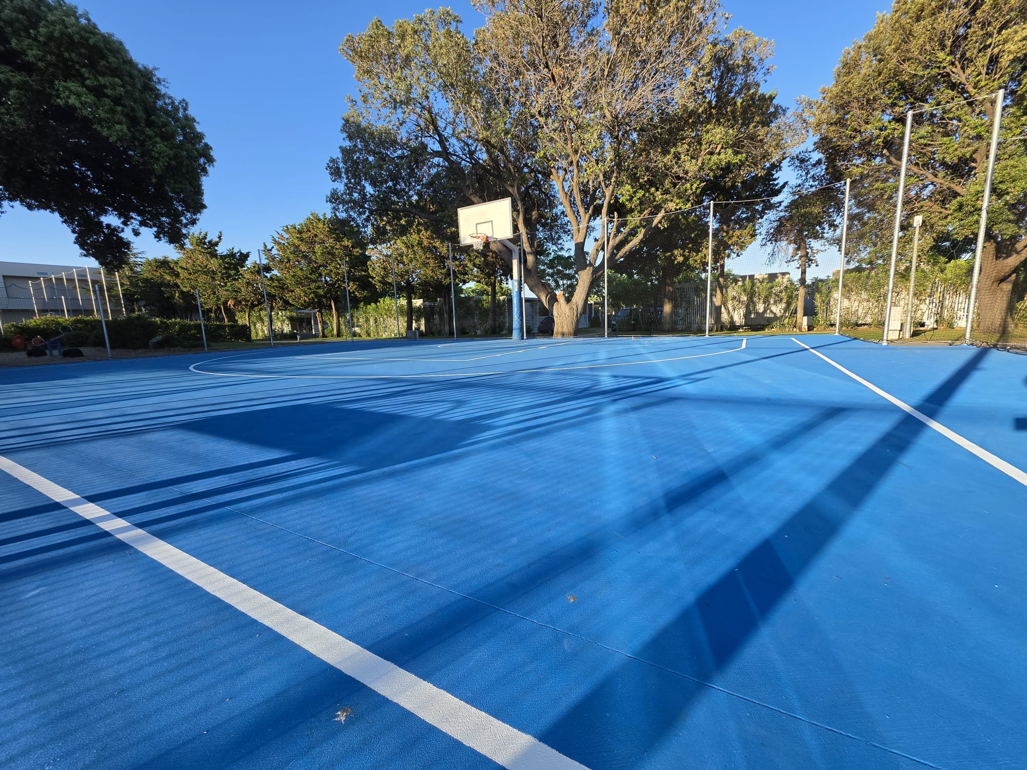 Basketball